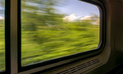 Featured image of post absence
