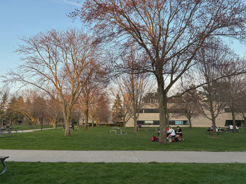 Featured image of post A Week in 20-something-hood - Edition One (April 9th, 2024)