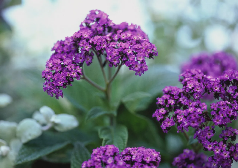 Featured image of post hues