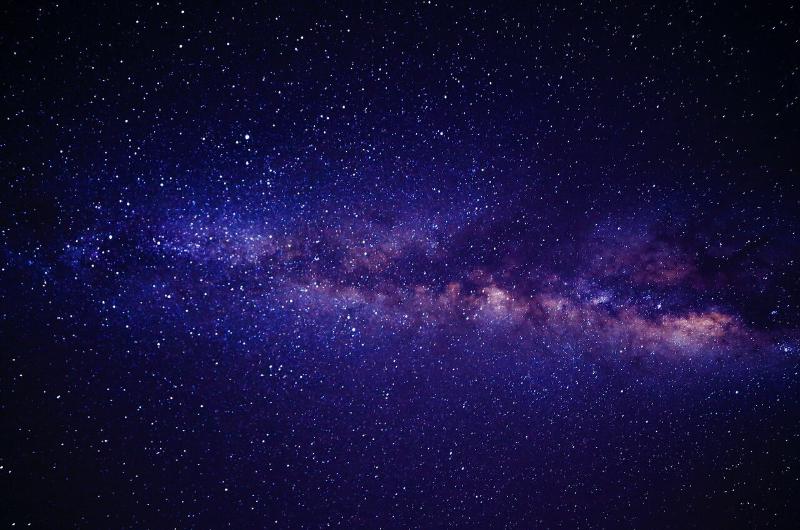 Featured image of post stardust